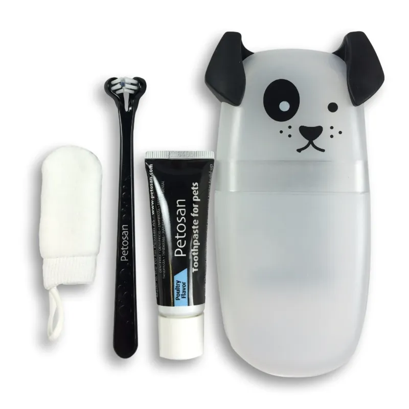 Petosan hambaharja ja hambapasta komplekt Complete Dental Kit hambahari koerale ja pasta