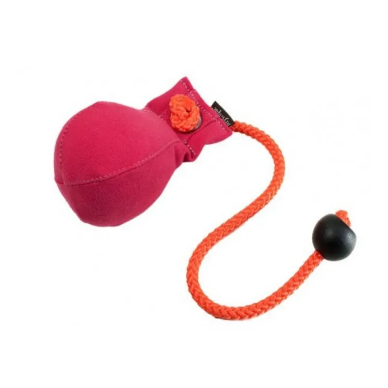 Mystique Dummy pall