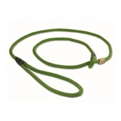 Mystique Field Trial Moxon retriiveririhm