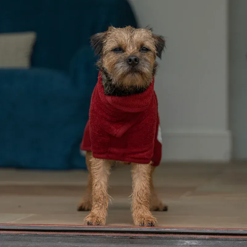 Ruff & Tumble Classic Dog kuivatusjakk koertele