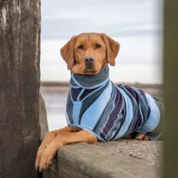 Ruff & Tumble Design Dog kuivatusjakk koertele