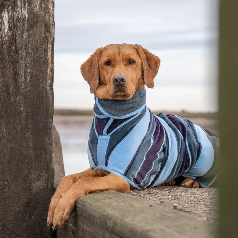 Ruff & Tumble Design Dog kuivatusjakk koertele
