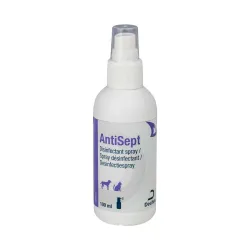 AntiSept desinfitseeriv sprei
