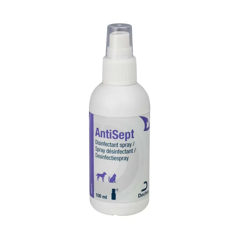 AntiSept desinfitseeriv sprei