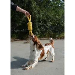 Bite Me tirimisköis 2 aasaga