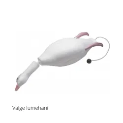 Dokken’s dummy kummist hani