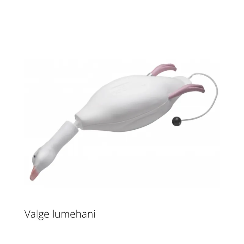 Dokken’s dummy kummist hani