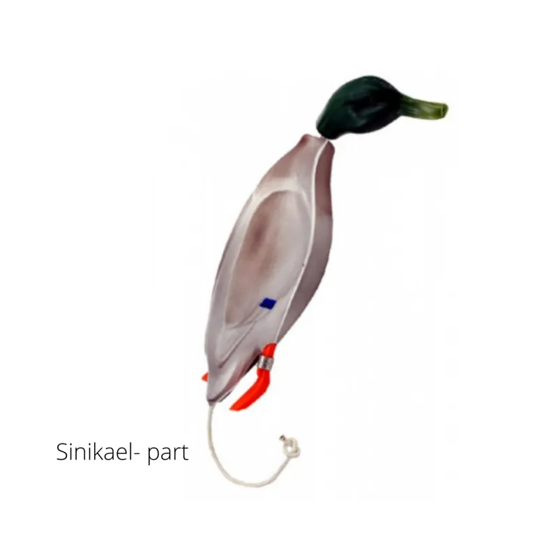 Dokken’s dummy väike part- valik
