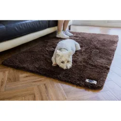 Kate diivanile Pet Rebellon diivanikate