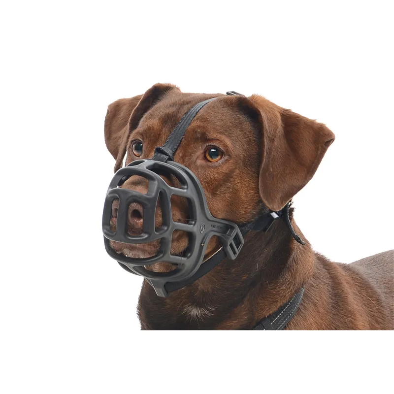 Buster Extreme suukorv