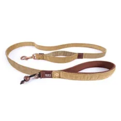 Ezydog Soft Trainer jalutusrihm