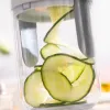 Спиральная овощерезка и терка с рецептами Vigizer InnovaGoods