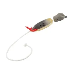 Dokken’s kutsikale linnu dummy