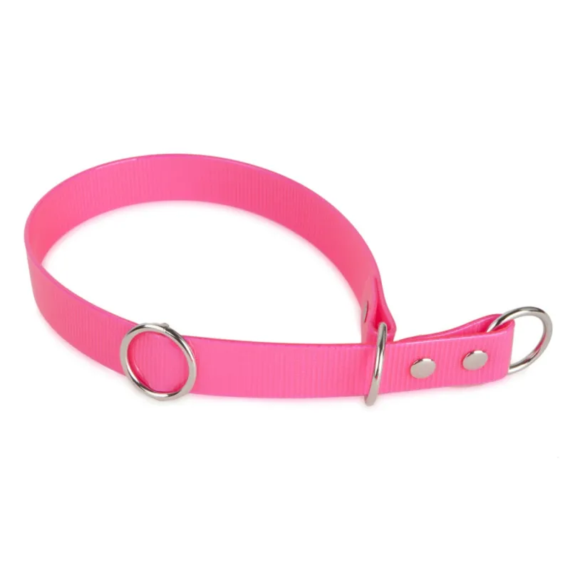 Firedog biotaan kaelarihm Sport