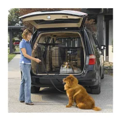 Kitsas puur autosse Midwest Side-by-Side Double Door Dog Crate