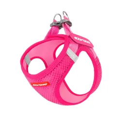 Ezydog traksid väikesele koerale FormFit Mesh