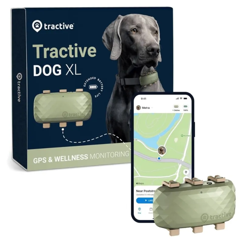 Tractive GPS DOG positsioneerimisseade koertele