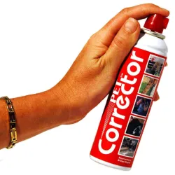 Pet Corrector koera häälega korrigeerija