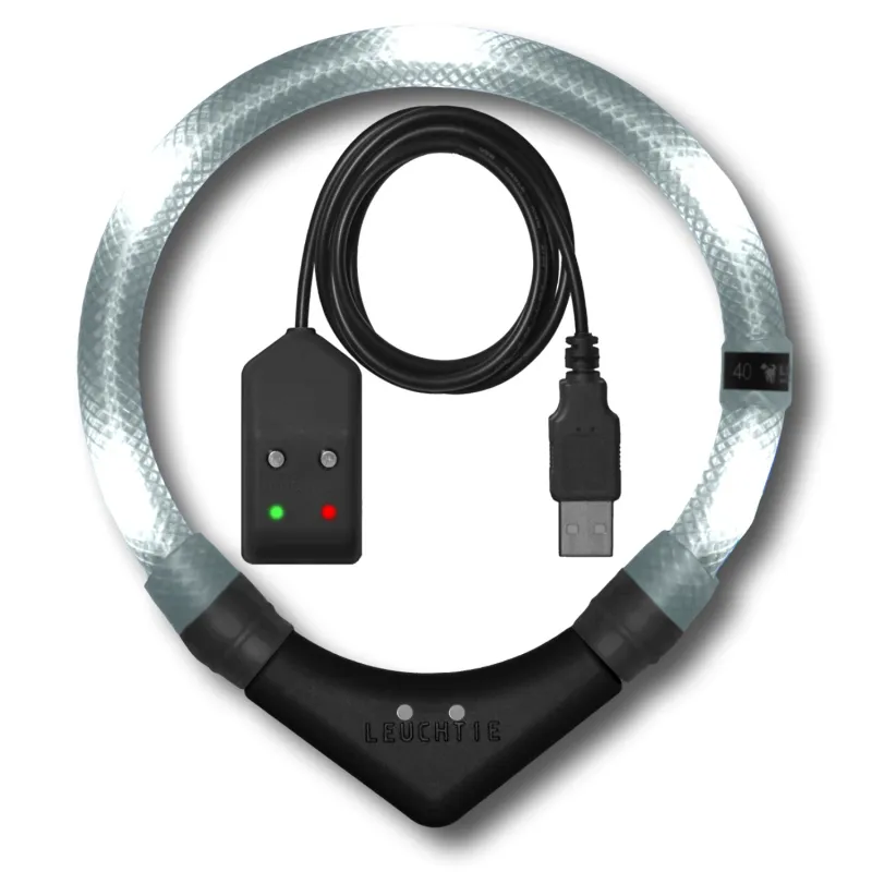 LEUCHTIE Easy Charge liikumis- ja magnetanduriga
