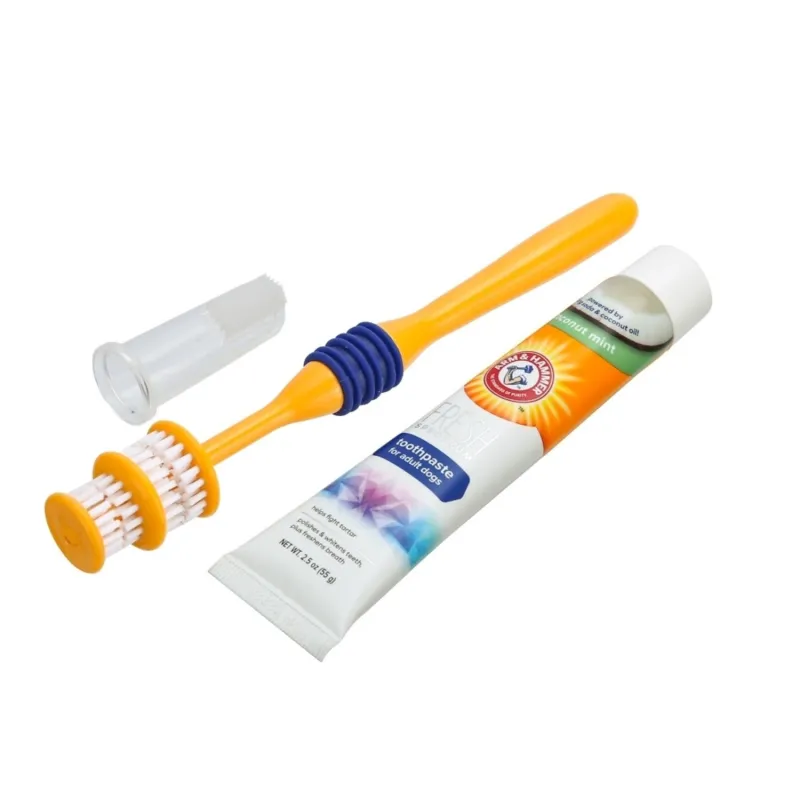 Arm & Hammer hambahari , näpuhari ja pasta koerale 360°