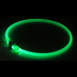 Led Collar kaelavõru