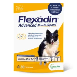 Flexadin toetus lihastele ja liigestele Advanced Muscle support