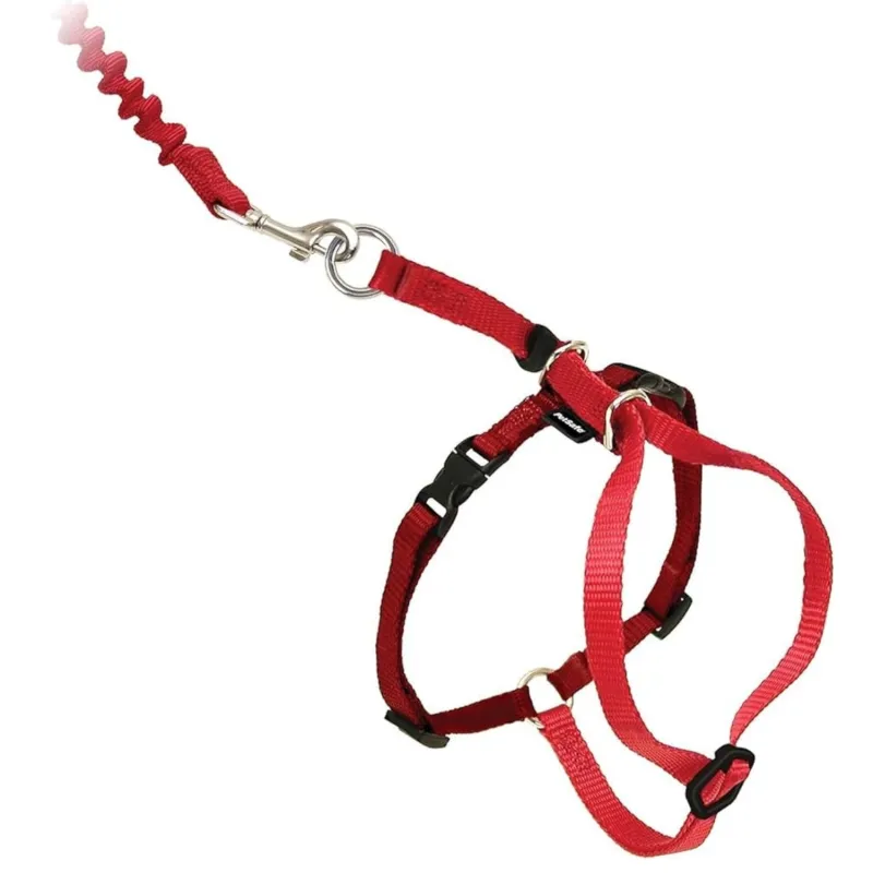 Petsafe kassi traksid Easy Walk