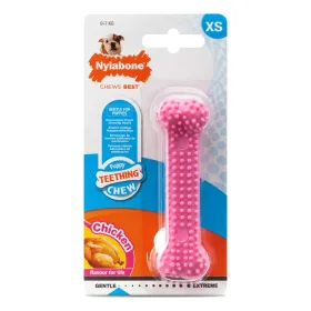 Nylabone närimismänguasi kutsikatele Puppy Chew Dental XS