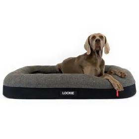 Ezydog 2 ühes ortopeediline koerapesa Ortho Calm Elite