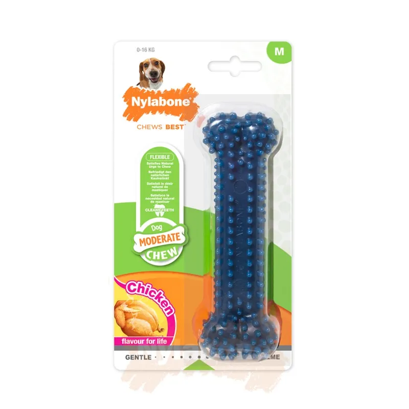 Nylabone närimise mänguasi Dental Chew Bone Chicken