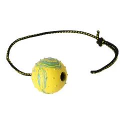 DINGO koera treeningpall nööri Retrieving Ball with Rope 60cm