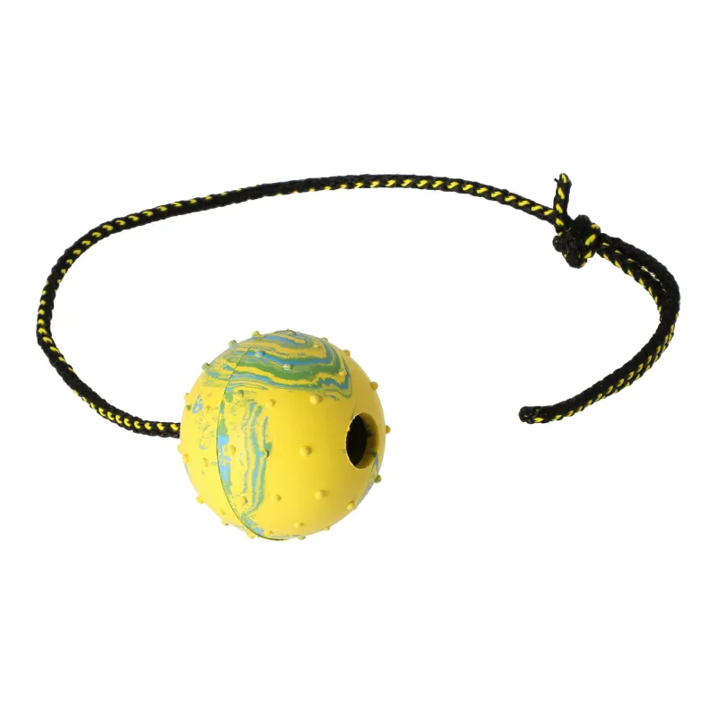 DINGO koera treeningpall nööri Retrieving Ball with Rope 60cm