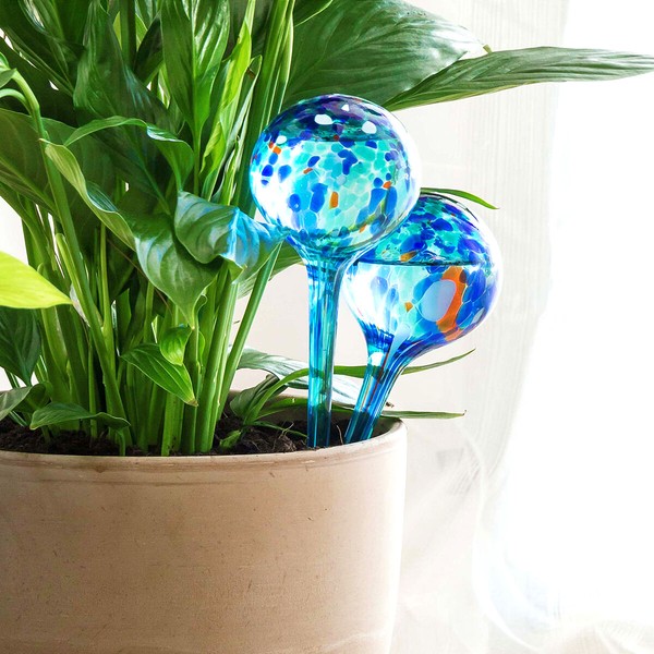 Automatiniai laistymo gaubliai Aqua·Loon InnovaGoods Mėlyna stiklas (Naudoti A)