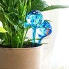 Automatiniai laistymo gaubliai Aqua·Loon InnovaGoods Mėlyna stiklas (Naudoti A)