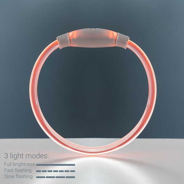 Antkaklis su LED augintiniams Petlux InnovaGoods