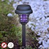 Pretodu saules lampa dārzam Garlam InnovaGoods