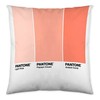 Чехол для подушки Ombre B Pantone Localization-B086JQB7QD Двухсторонний 50 x 50 cm