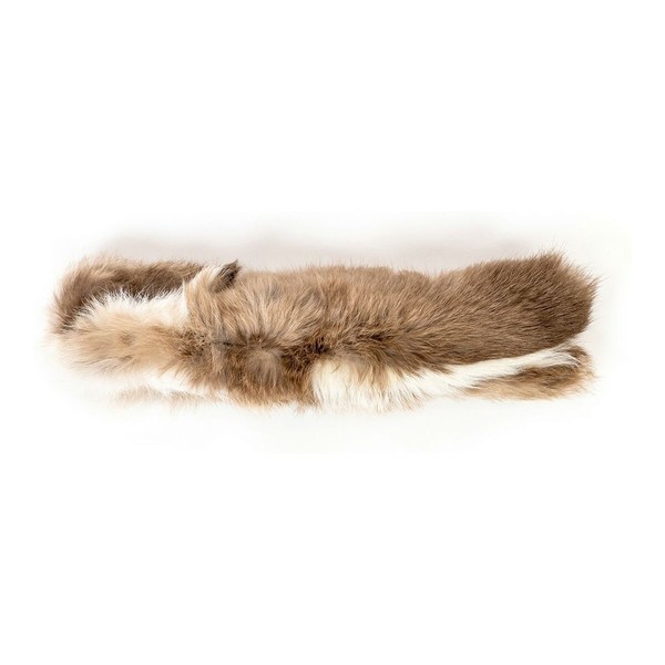 Cat toy Gloria Eero Cushion (24 x 7 cm) | Buy online — Megaluks