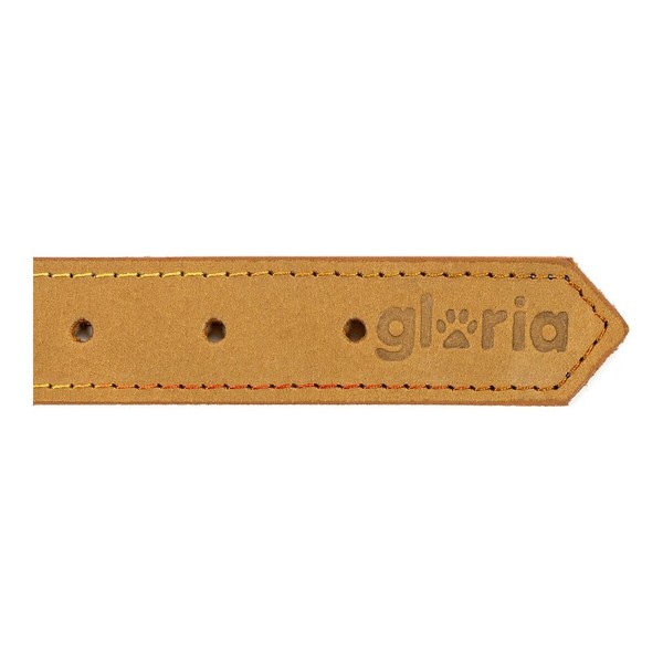 Suņa kaklasiksna Gloria Oasis Dzeltens (35 x 1,2 cm)