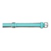 Suņa kaklasiksna Gloria Ar polsterējumu Turquoise 55 cm (55 x 2,5 cm)
