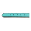 Koiran kaulapanta Gloria Turquoise 55 cm (55 x 2,5 cm)