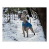 Пальто для собак Red Dingo Puffer бирюзовый 50 cm