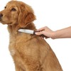 Hairstyle Hunter Brown Plastic 12 Rake Rotating
