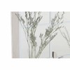 Seinäpeili DKD Home Decor Beige Maljakko Cottage 35 x 10 x 50 cm