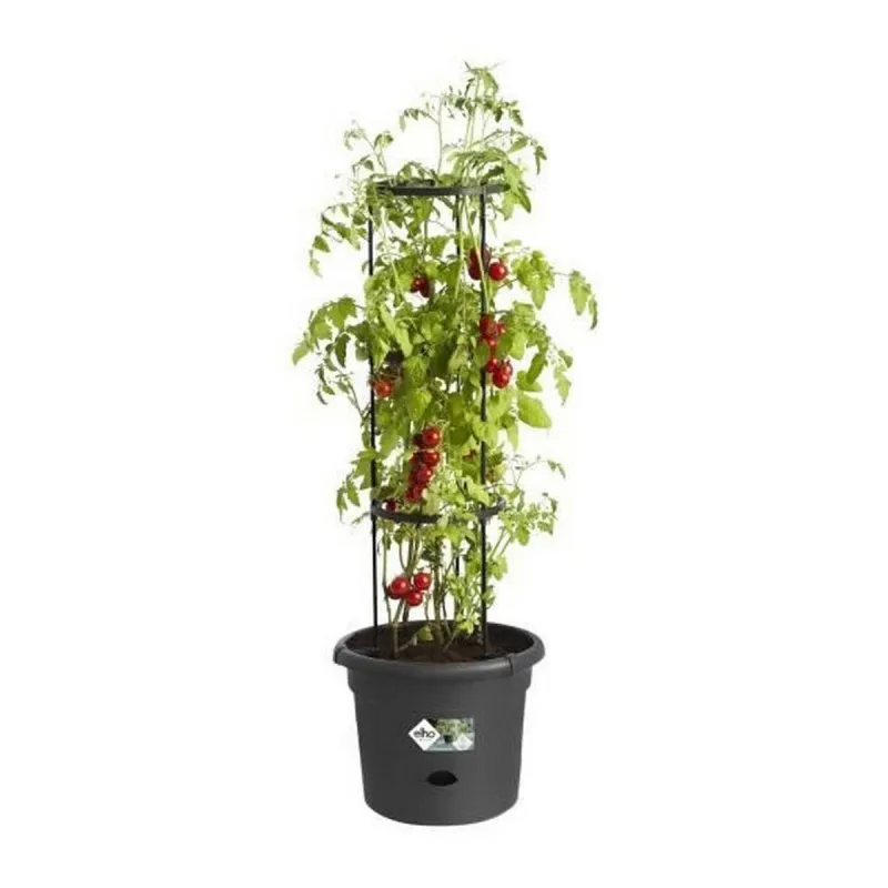 Pušķi Elho Basics Tomato Melns (Ø 33 cm)