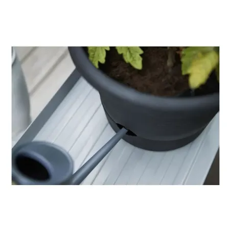 Pušķi Elho Basics Tomato Melns (Ø 33 cm)