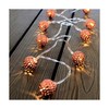 LED gaismu vītne Decorative Lighting Varš