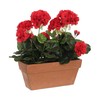 Dekoratīvs Augs Mica Decorations Keramika Sarkans PVC (29 x 13 x 40 cm)
