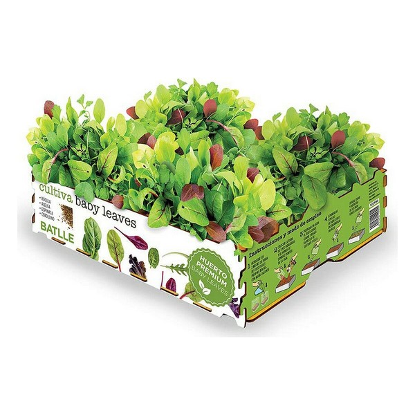 Auginimo rinkinys Batlle Baby Leaves Salotos 40 x 29 x 10,5 cm 2,6 Kg