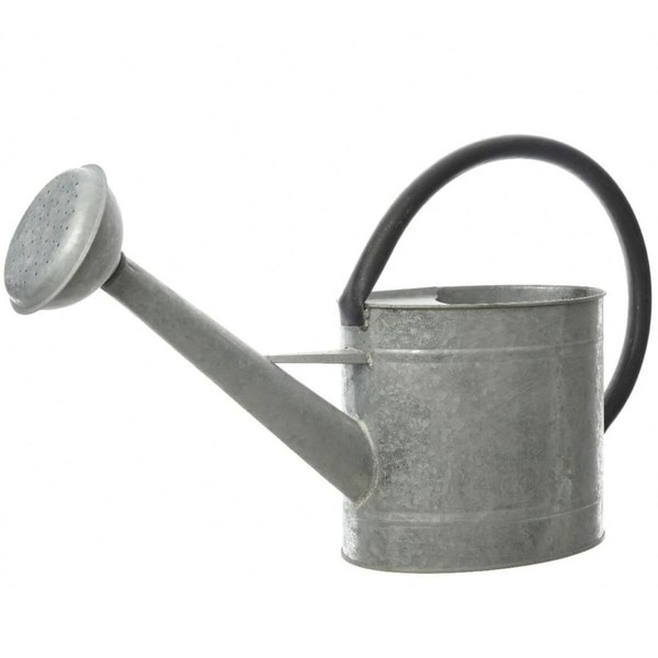 Lejkanna Decoris Pelēks Cinks 1 L